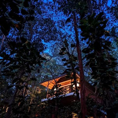 Coffee Acres Resort Kalpetta Exteriör bild