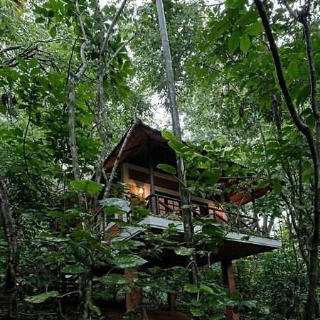 Coffee Acres Resort Kalpetta Exteriör bild