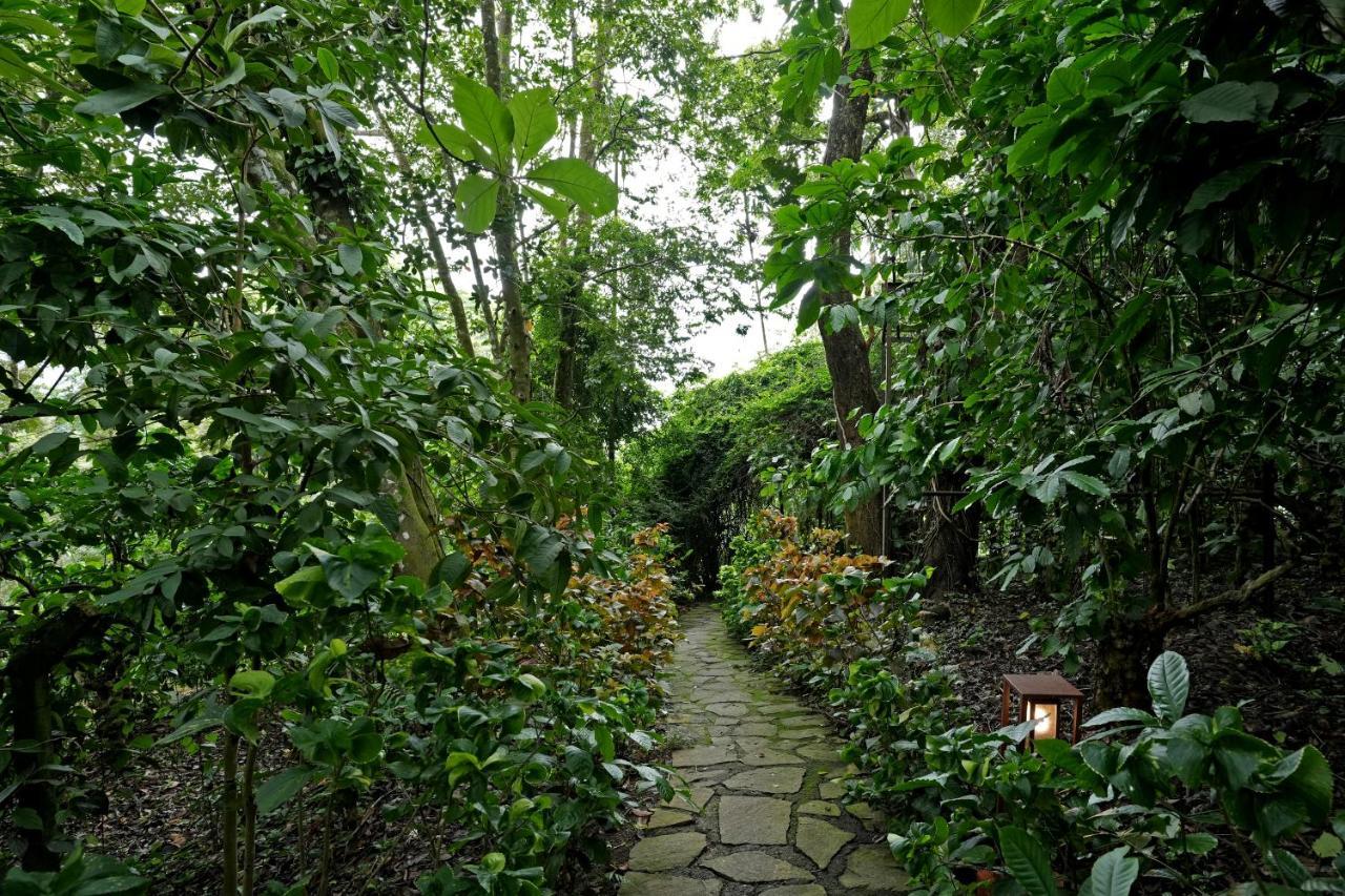 Coffee Acres Resort Kalpetta Exteriör bild