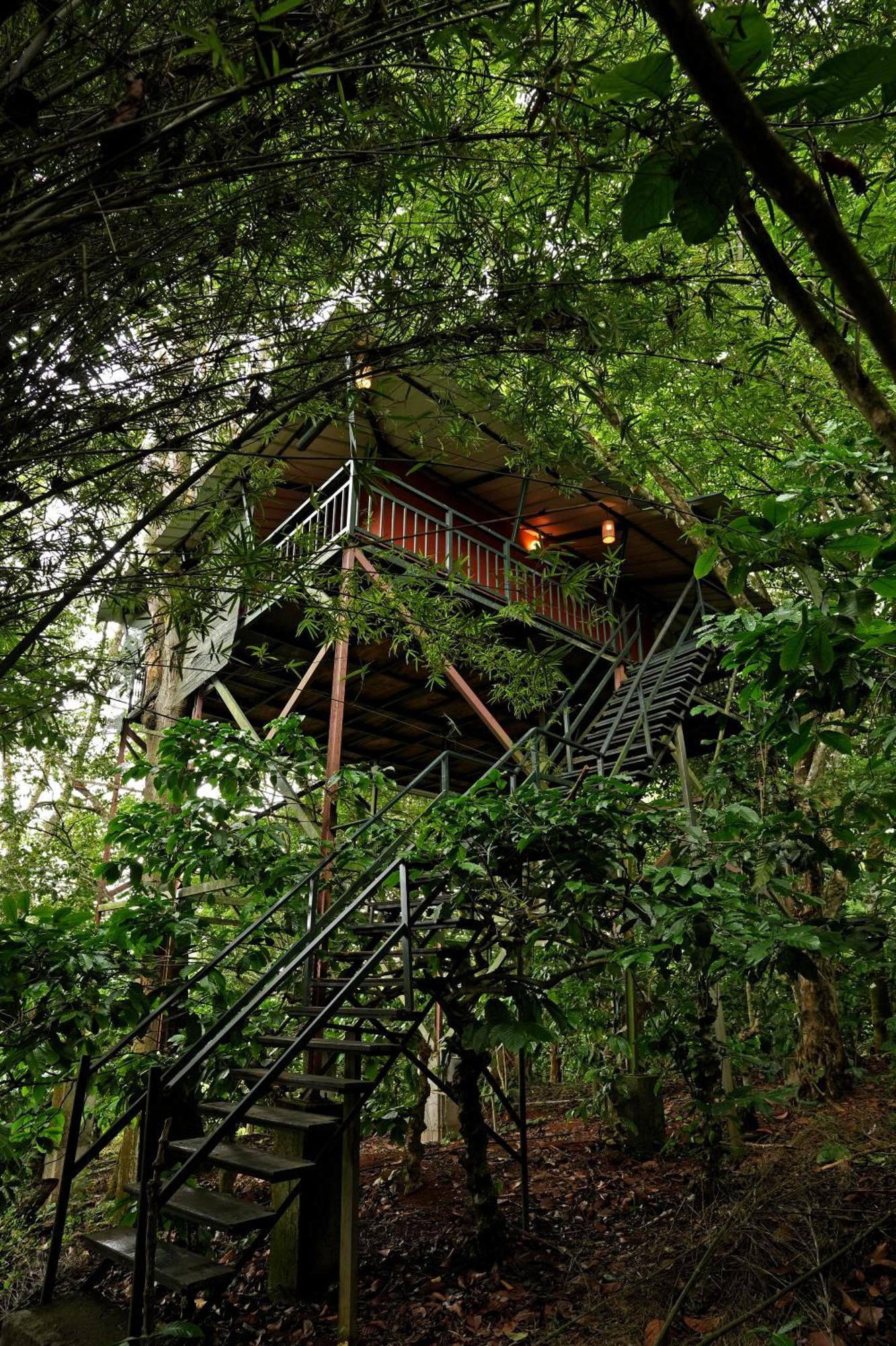 Coffee Acres Resort Kalpetta Exteriör bild