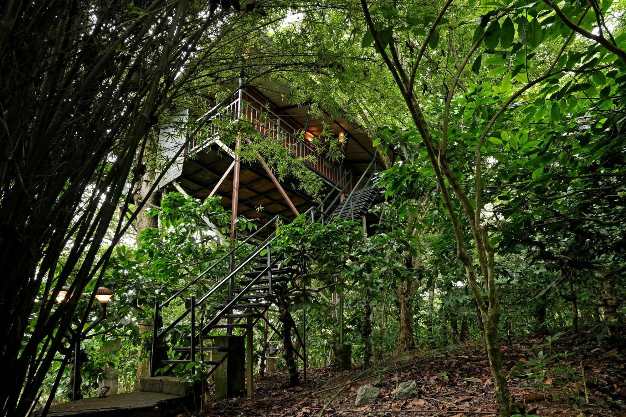 Coffee Acres Resort Kalpetta Exteriör bild