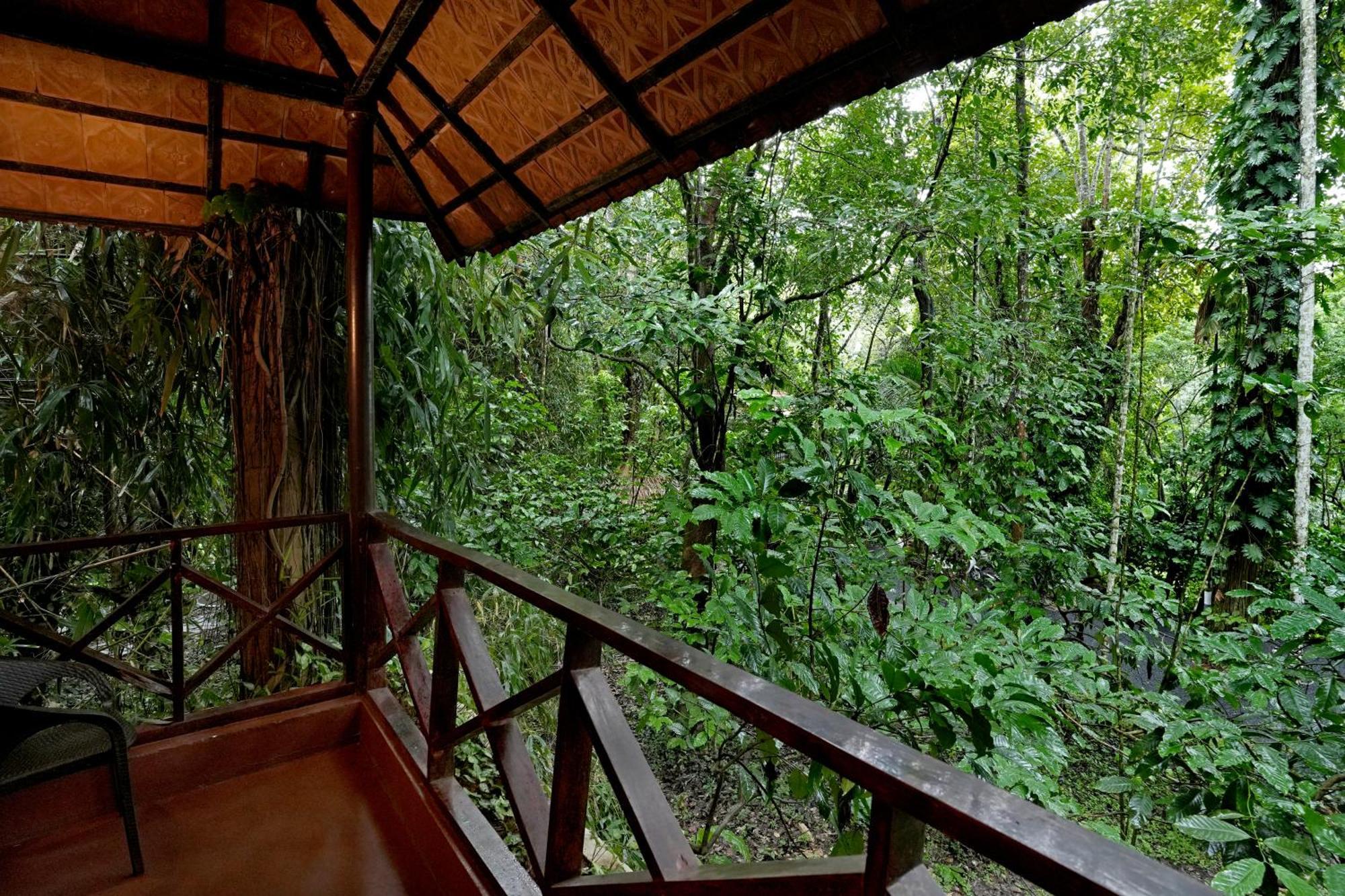 Coffee Acres Resort Kalpetta Exteriör bild