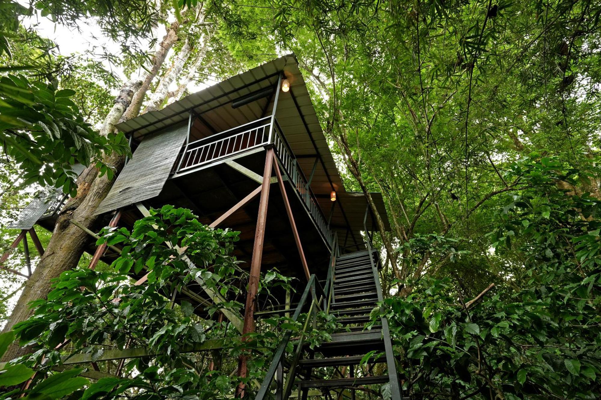 Coffee Acres Resort Kalpetta Exteriör bild